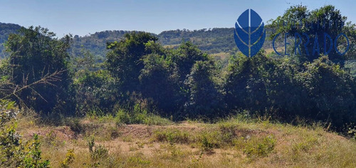 Imagem 10 de 15 de Chácara À Venda Em Alexânia-go - Ch4232335