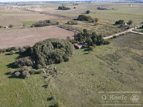 Campo Mixto De 280 Has En Venta . Acceso Sobre Asfalto En Ranchos