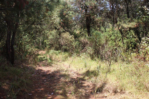 Terreno En Paraje Tetecuintla