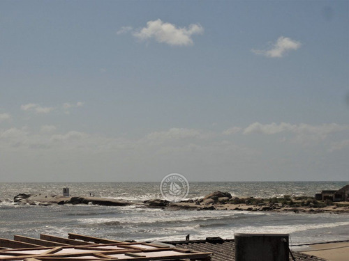 Arenque En Punta Del Diablo