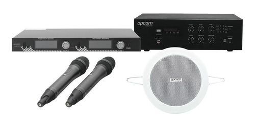 Kit De Audio Conferencias Potencia: 240w 2 Micrófonos