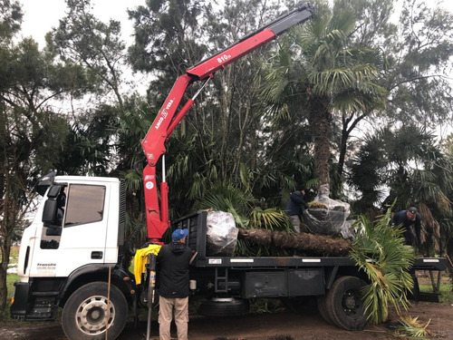 Alquiler De Hidrogrua Camion Grua Fletes Mudanzas Grama