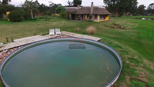 Campo En Venta 96hec- Ref: 5690