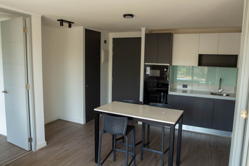 Se Arrienda Departamento Nuevo En Calle Ricardo Lyon Provide