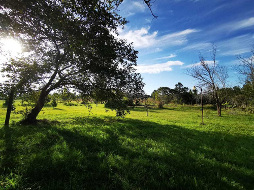Imagen 5 de 14 de Vendo O Permuto Casa Quinta Con Pileta