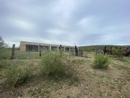 Rancho En Venta En Villa Hidalgo Durango
