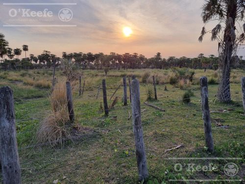 Campo En Venta 1217 Has En Villa Guillermina, Santa Fe.