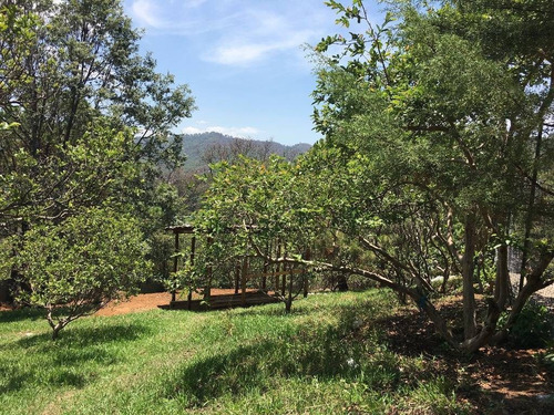 Imagen 4 de 5 de Terreno En Venta Con Vista Al Lago Valle De Bravo