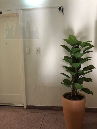 Imagem 1 de 5 de Comercial Para Aluguel, 0 Dormitórios, Vila Mariana - São Paulo - 12228