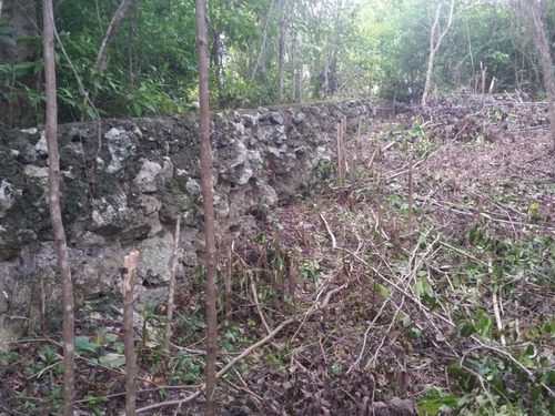 Imagen 8 de 12 de Terreno En Venta Cuna Maya Smza. 205