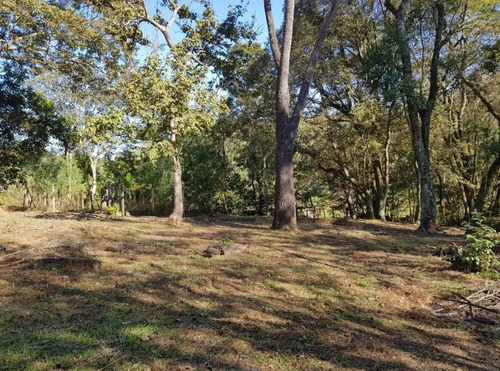 Compre Já O Seu Terreno, Terreno Pra Chácara Em Mairinque