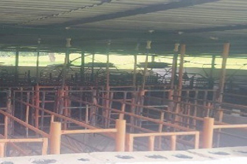 Imagen 12 de 12 de Aa Asein1731 Vende Excelente Finca En El Sector Las Manzanita En Tinaquillo Edo. Cojedes.