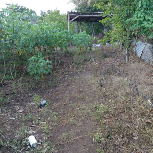 Finca En Venta Guerra33