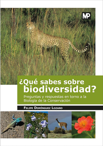 ¿qué Sabes Sobre Biodiversidad?: Preguntas Y Respuestas En T