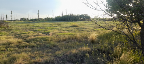 Finca 12.5 Ha. Gral. Alvear Mza. Financio. Tomo Vehículo.
