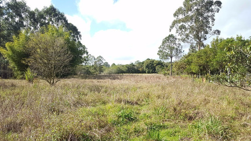 Imagem 3 de 15 de Terreno/sítio - 4365