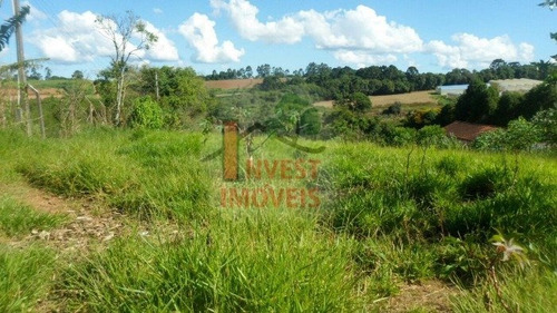 Imagem 4 de 4 de Terreno - Ref: 2644 - V-2644