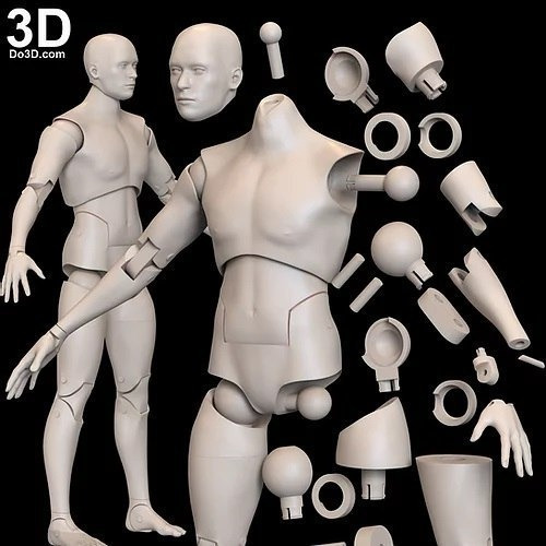 Archivo Stl Impresión 3d - Articulated Posable Figure Male