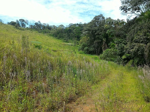 Imagem 4 de 12 de Vende Área Industrial Rodovia Presidente Dutra-sp 179.000m2