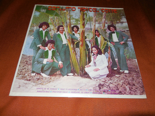 Disco Tropical Caribe - Sangre De Mi Sangre / Lp Sellado