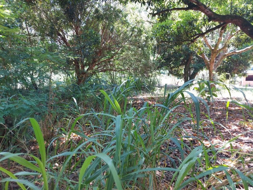 Imagem 18 de 24 de Terreno Em Caxito, Maricá/rj De 1060m² À Venda Por R$ 150.000,00 - Te2148374-s