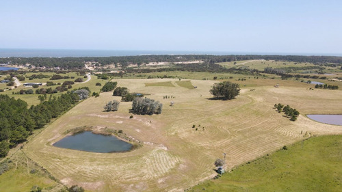 Imagen 3 de 30 de Chacra En Venta, Fraccion De 20 Has En Jose Ignacio (ref: Atm-6766)