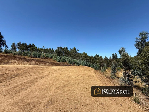 Parcela En Venta En San Nicolás   Chillán