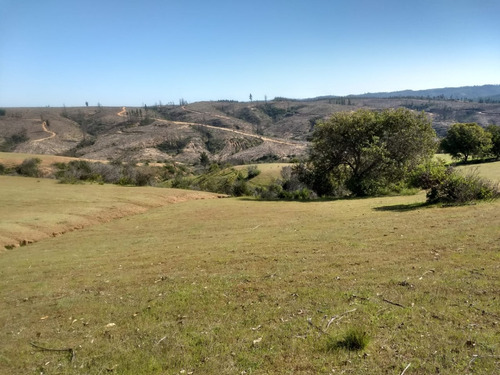 Gran Parcela Con Casa De Cuidador