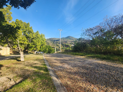Venta Lote San Diego 152 Mz Xiii Con Todos Los Servicios, Vistas Panorámicas, Proyecto Arquitectónico Incluído En Av Principal Fracc Rancho San Diego Ixtapan De La Sal Edomex
