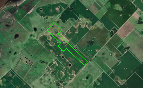 Imagen 26 de 26 de Quinte En Venta - 5 Dormitorios 3 Baños - 37ha Totales - Campo Funke
