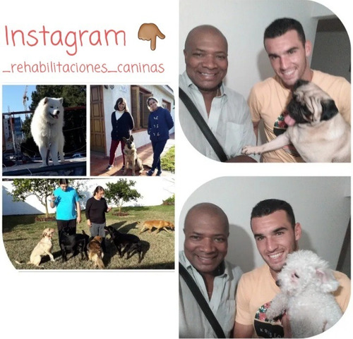 Imagen 3 de 5 de Adiestramiento Y Rehabilitaciones Caninas Ruben Silva Videla