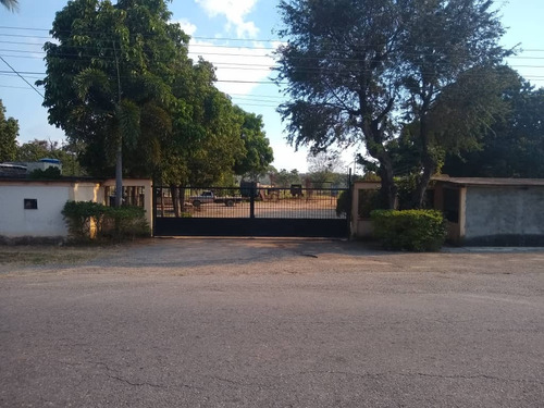 Imagen 3 de 26 de Finca En Apartadero - Cojedes