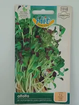 Comprar 1 Sobre De Semilla De Alfalfa Para Germinados