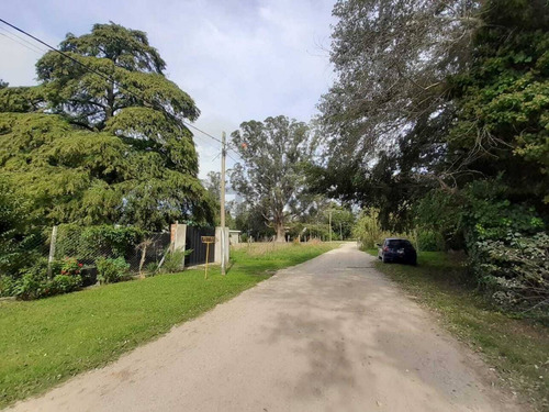 Venta Lote Barrio El Sosiego Reserva Forestal, Mar Del Platacentury 21 Recanatti Ofrece Para La V...