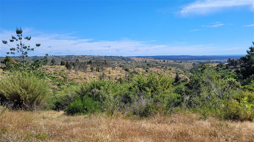 Sitio En Venta En Algarrobo Camino Las Dichas Cerca Playa