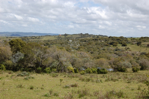 Campo 5 Has Con Casa En Sierra De Los Caracoles - Codigo 5379