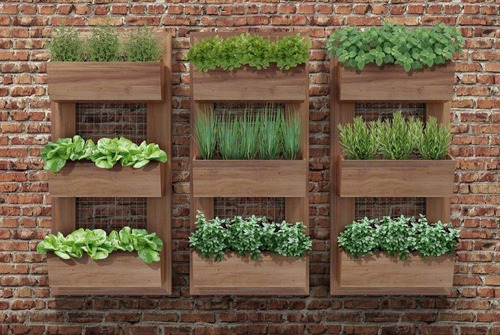 Imagem 4 de 5 de Assistência Técnica De Jardinagem