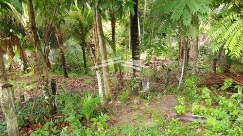 Imagem 2 de 2 de Terreno 780 M2 No Village / Vista Mar / Porto Seguro Ba - 43