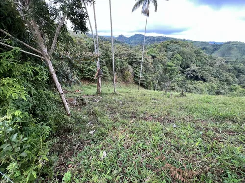 Venta De Finca En Vereda Paramillo, Fresno, Tolima
