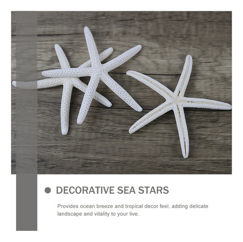 Colgantes Náuticos Con Forma De Estrella De Mar De Cinco Ded