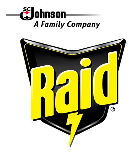 Inseticida Aerossol Raid Multi-insetos Óleo Eucalipto 420ml