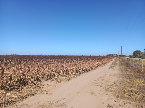 Flores Propiedades Vende Finca En Taquello (a 11 Kms. De Termas De Rio Hondo)