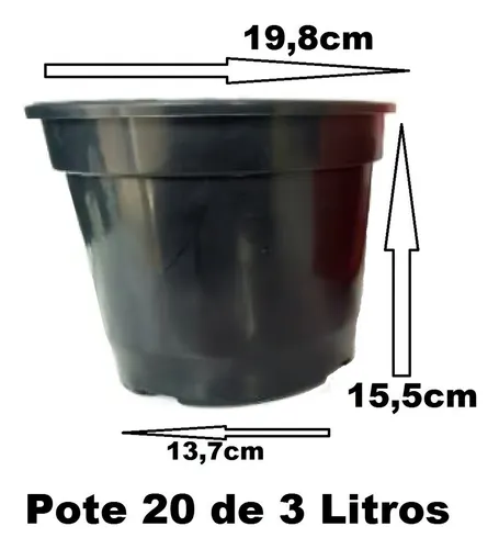 comprar 10 Vasos Pote 20 3 Litros Mudas Plantas E Rosa Do Deserto