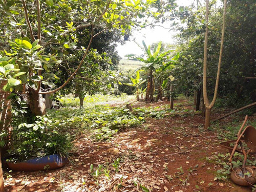 Imagem 5 de 12 de Chácara Com 3.200 M² Com Rio No Fundo Em Artur Nogueira - Sp - 1423