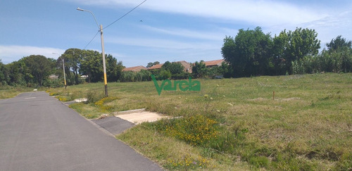 Imagen 4 de 10 de Terrenos En Venta En Lagomar, Ii Etapa , Fraccionamiento Almenara