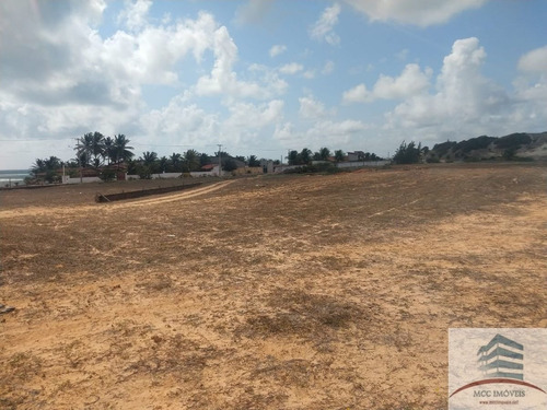 Terreno A Venda Praia De Caraúbas 50m Do Mar