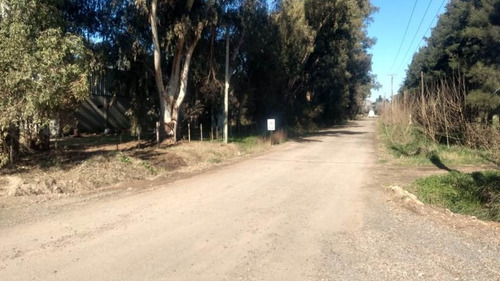 Imagen 6 de 7 de Galpon En Venta En Olivera