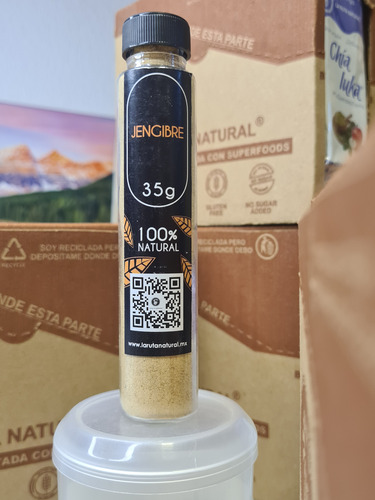 Sazonador Jengibre Especiero Digestivo Comida Condimento 35g