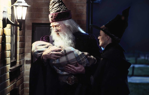 Imagen 6 de 6 de Harry Potter: The Postcard Collection -colección De Postales