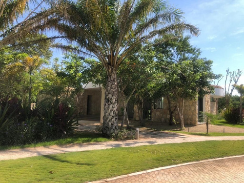 Imagen 5 de 28 de Terrenos En Venta En Mérida, Privada Temozón Casa, Temozón N
